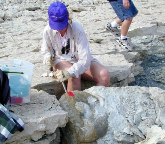 Ammonite collecting on the Texas side of the Lake Texoma reservoir in north Texas. It is a wonderful place to collect because it is a Corps of Engineers lake and their game wardens are not interested in the fossils, just the fish and boater safety.