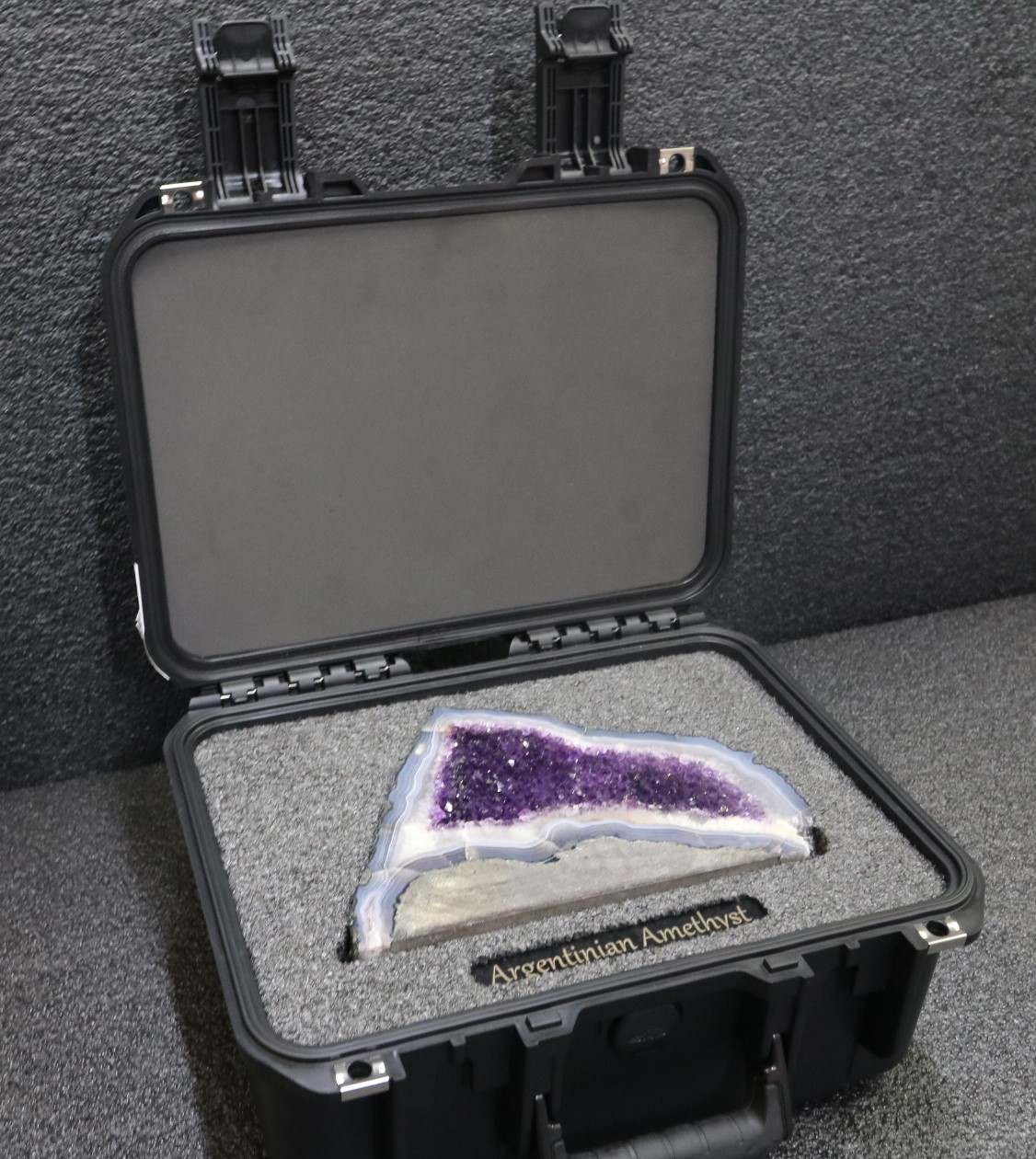 Foam Fitted Case to Safely Transport Fine Specimens