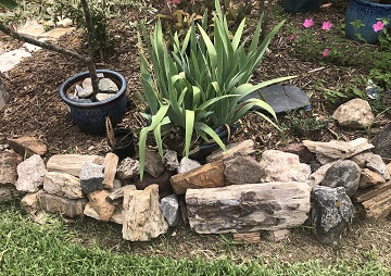 Landscaping with petrified wood