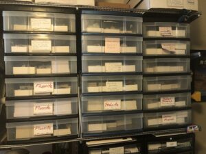 Rocks in plastic sets of drawers
