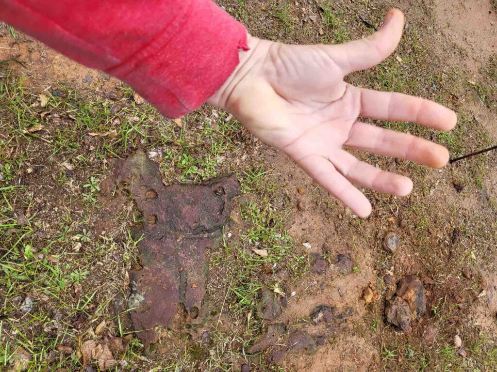 Comparing hand to fossil