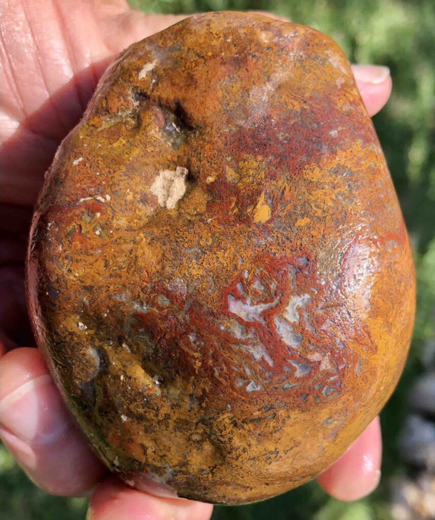 Red and Orange agate from Zapata TX area