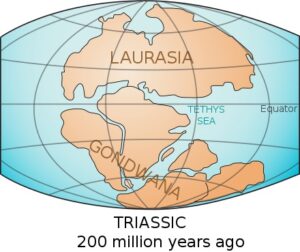 Laurasia and Gondwana