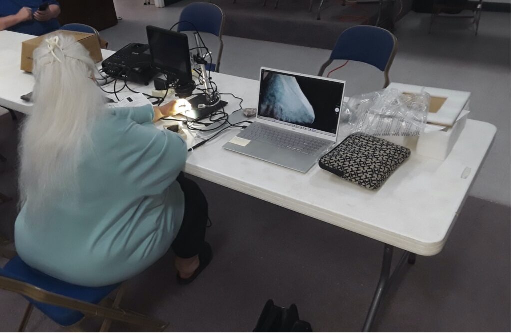 Jeanean working with digital microscope