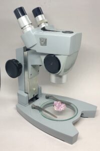 Binocular Microscope