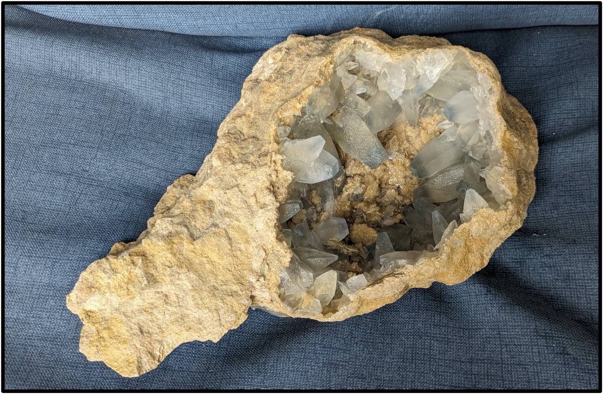 "The Coconut" Cleaned "The Coconut" Cleaned