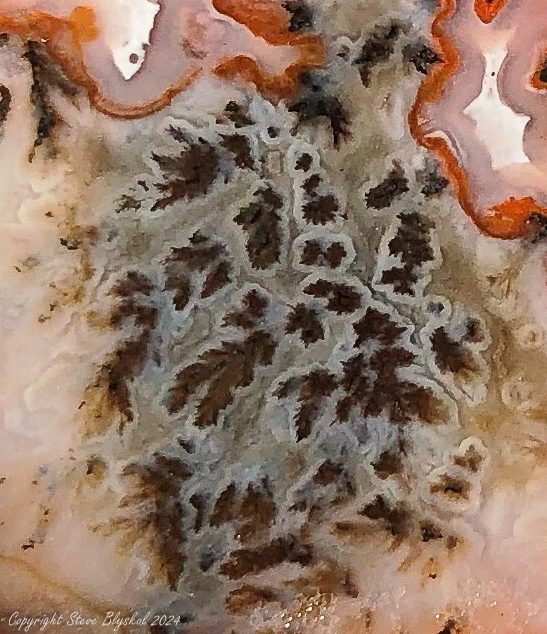 Plume Agate, Woodward Ranch TX