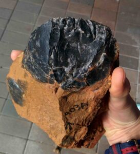 Black Chert Sample