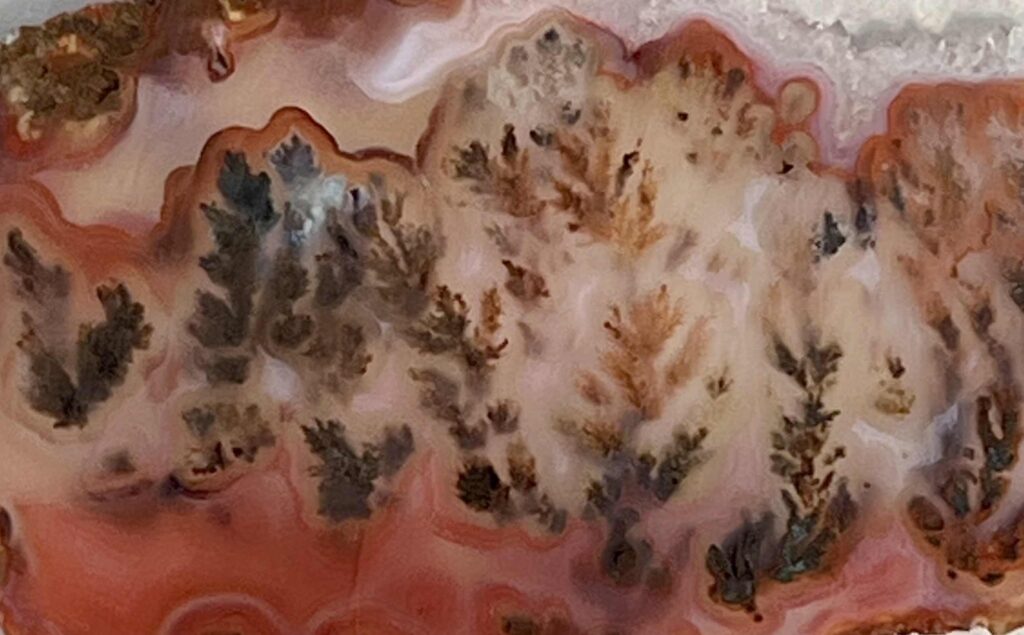 Plume Agate, Woodward Ranch, TX