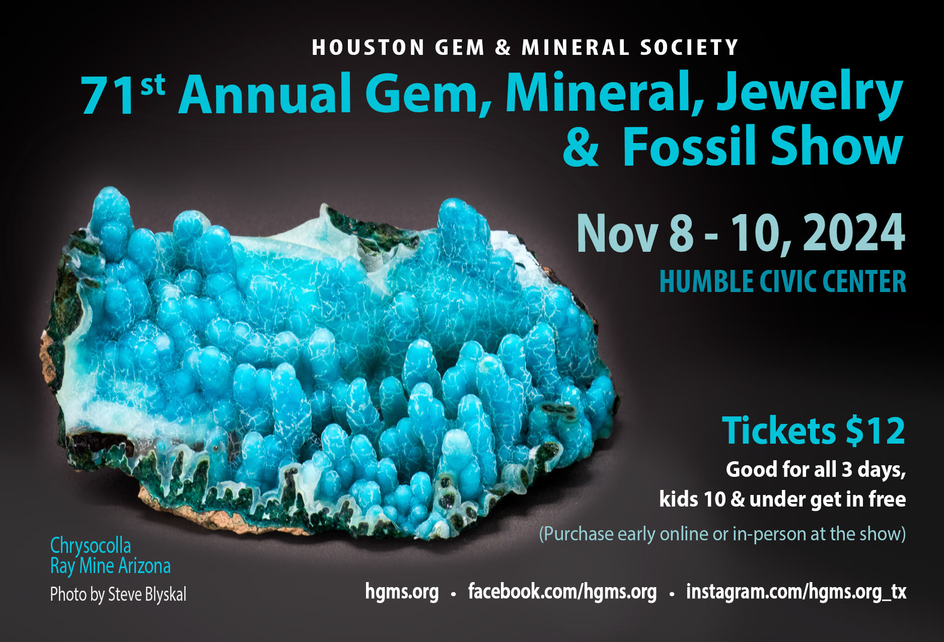 HGMS 2024 Annual Show postcard with image of a blue bubbly looking mineral. Event details Nov 8-10, Tickets $12. Humble Civic Center.