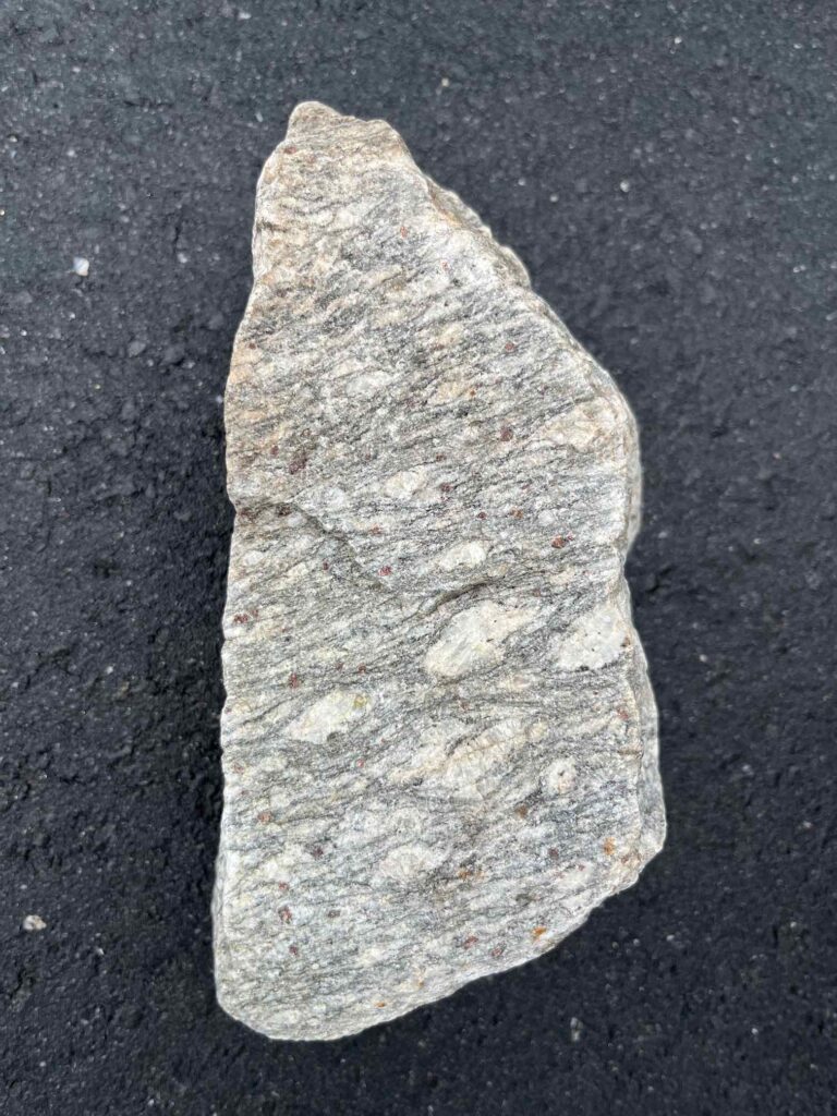 Megacrystic Biotite Gneiss with garnets